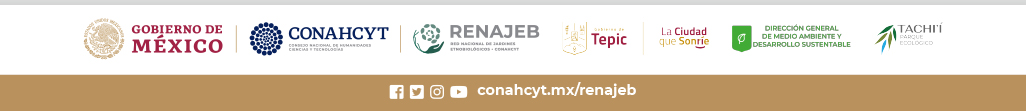 Pleca Renajeb Nayarit